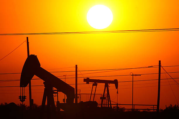 Oil